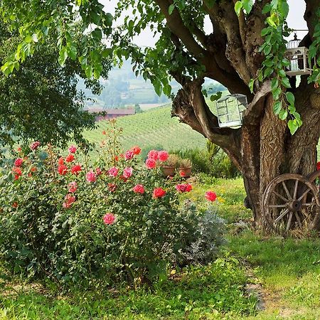 Agriturismo Albarossa Nizza Monferrato Kültér fotó