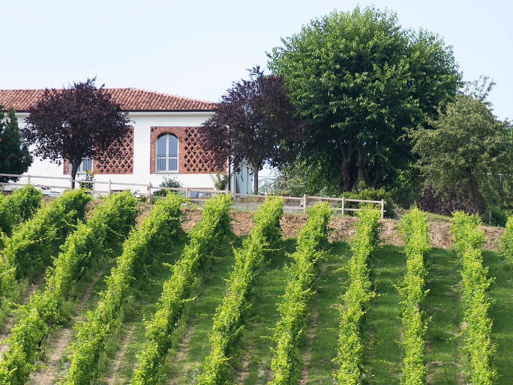 Agriturismo Albarossa Nizza Monferrato Kültér fotó