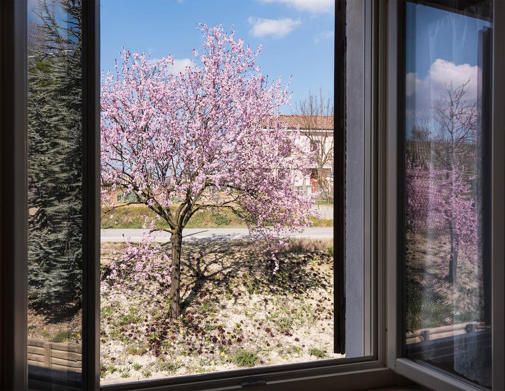 Agriturismo Albarossa Nizza Monferrato Kültér fotó