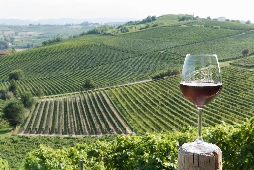 Agriturismo Albarossa Nizza Monferrato Kültér fotó