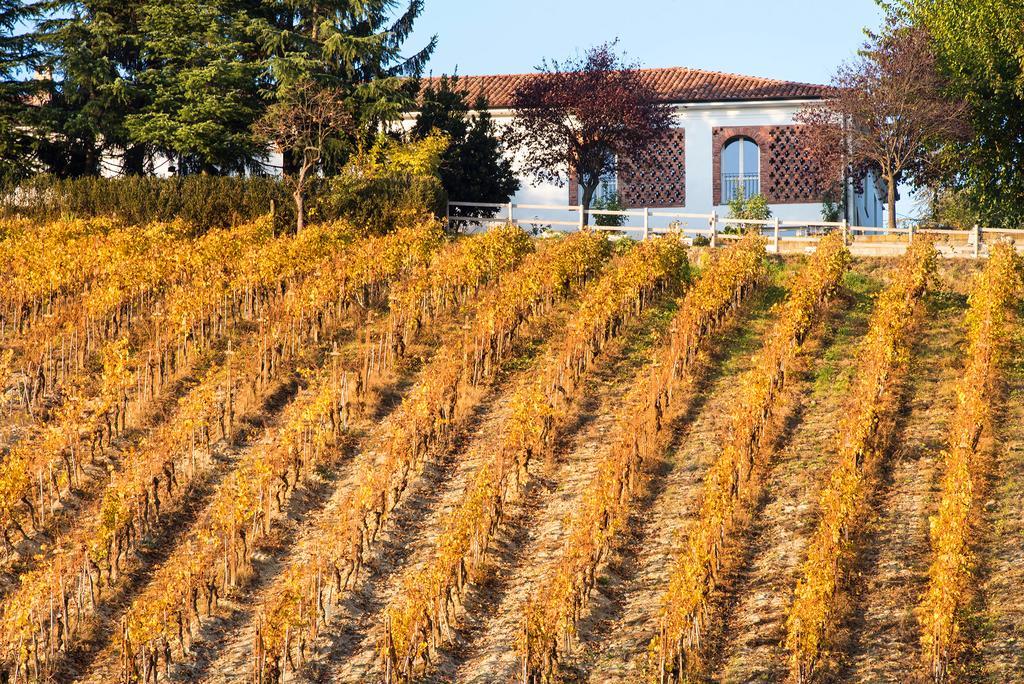 Agriturismo Albarossa Nizza Monferrato Kültér fotó