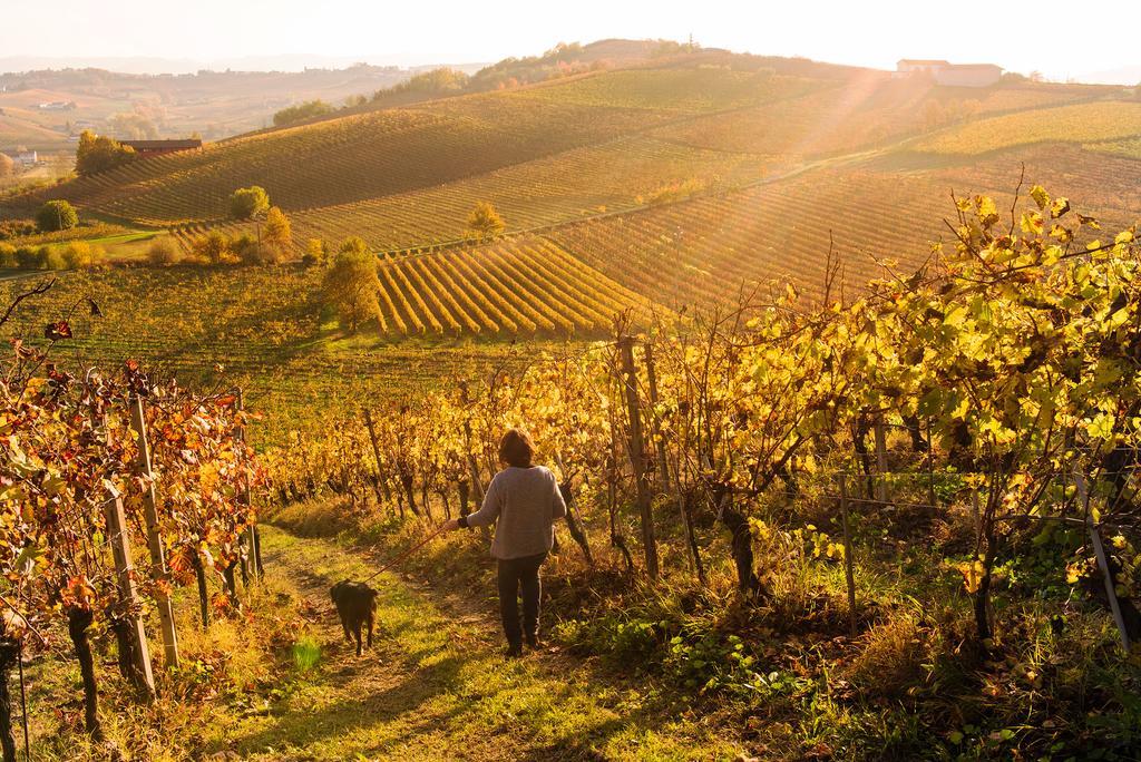 Agriturismo Albarossa Nizza Monferrato Kültér fotó