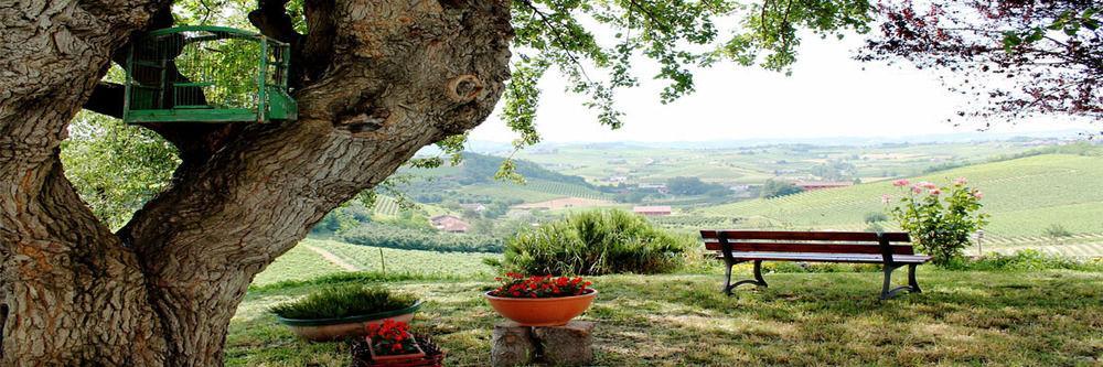 Agriturismo Albarossa Nizza Monferrato Kültér fotó