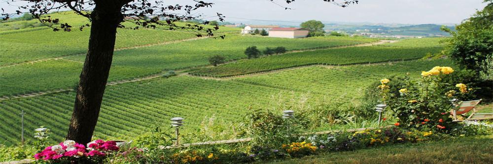 Agriturismo Albarossa Nizza Monferrato Kültér fotó