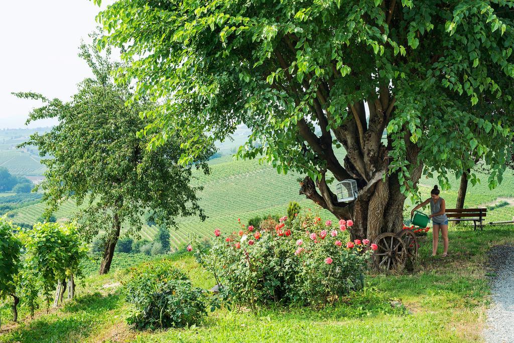 Agriturismo Albarossa Nizza Monferrato Kültér fotó
